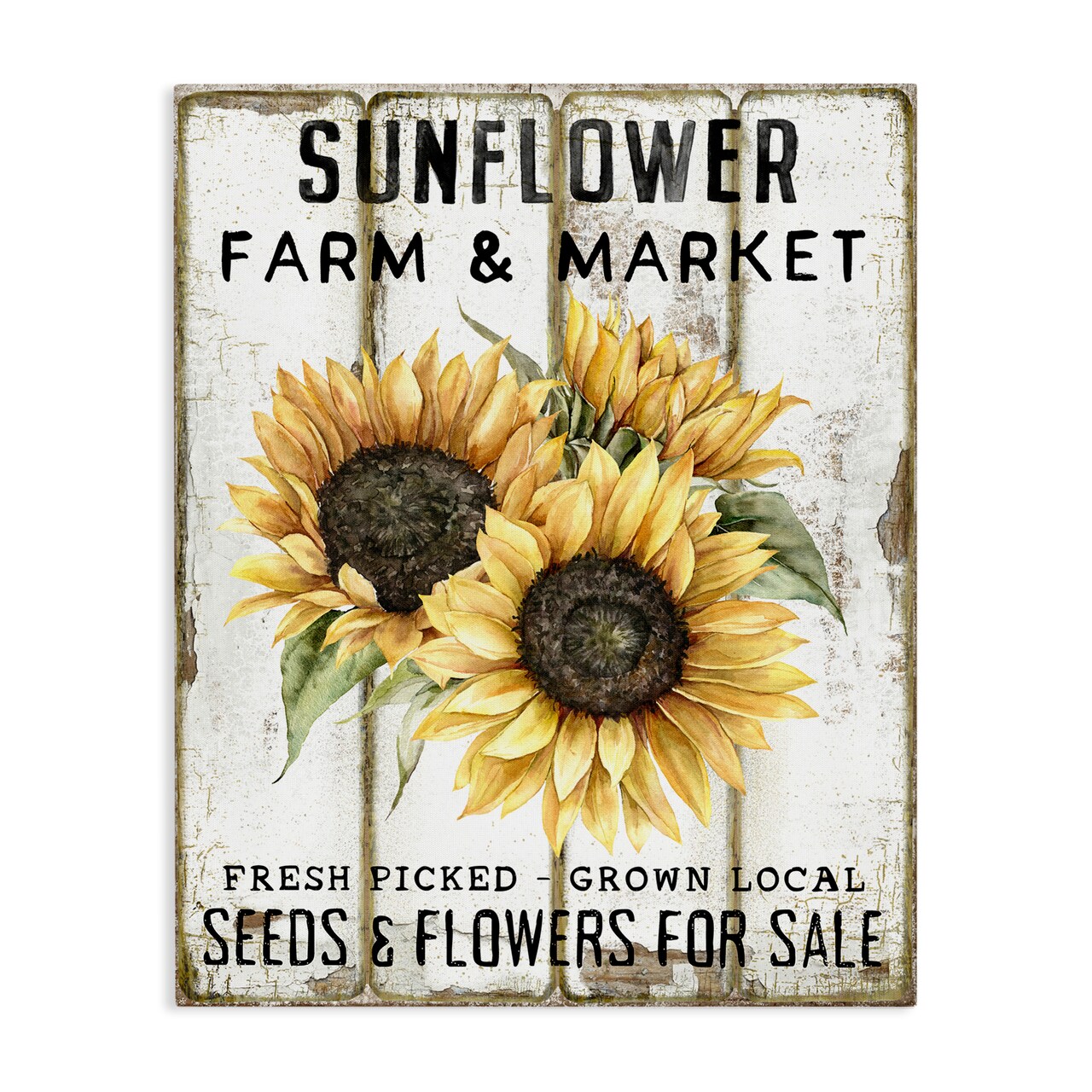 Stupell Industries Sunflower Farm & Market Canvas Wall Art Design by Creatif Belle